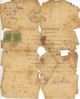 Sima Berkowicz Dayé Birth Certificate (Polish)